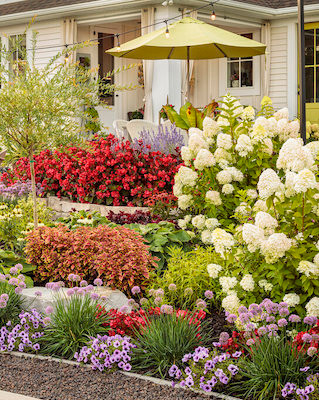 Planting In Odd Or Even Numbers