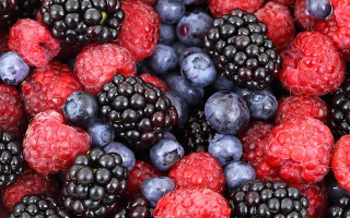 fruit producing plants